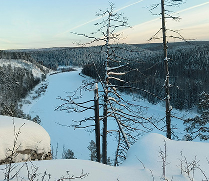 a